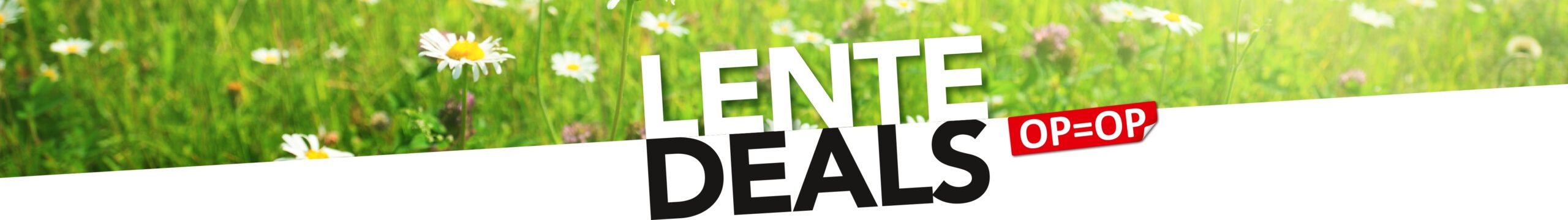 Lente deals