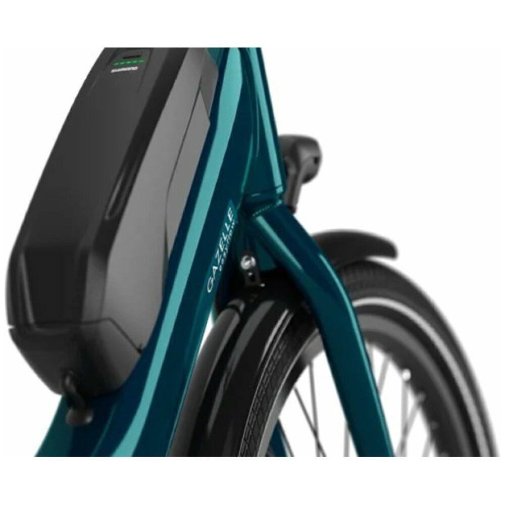Gazelle Easyflow Pine Green Glans - Afbeelding 3