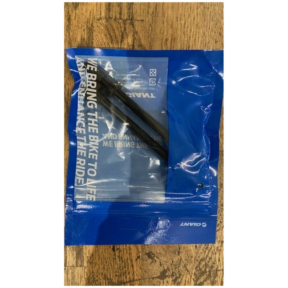 Giant TUBELESS VALVE STEMx2 FOR MM HIGH PROFILE RIM