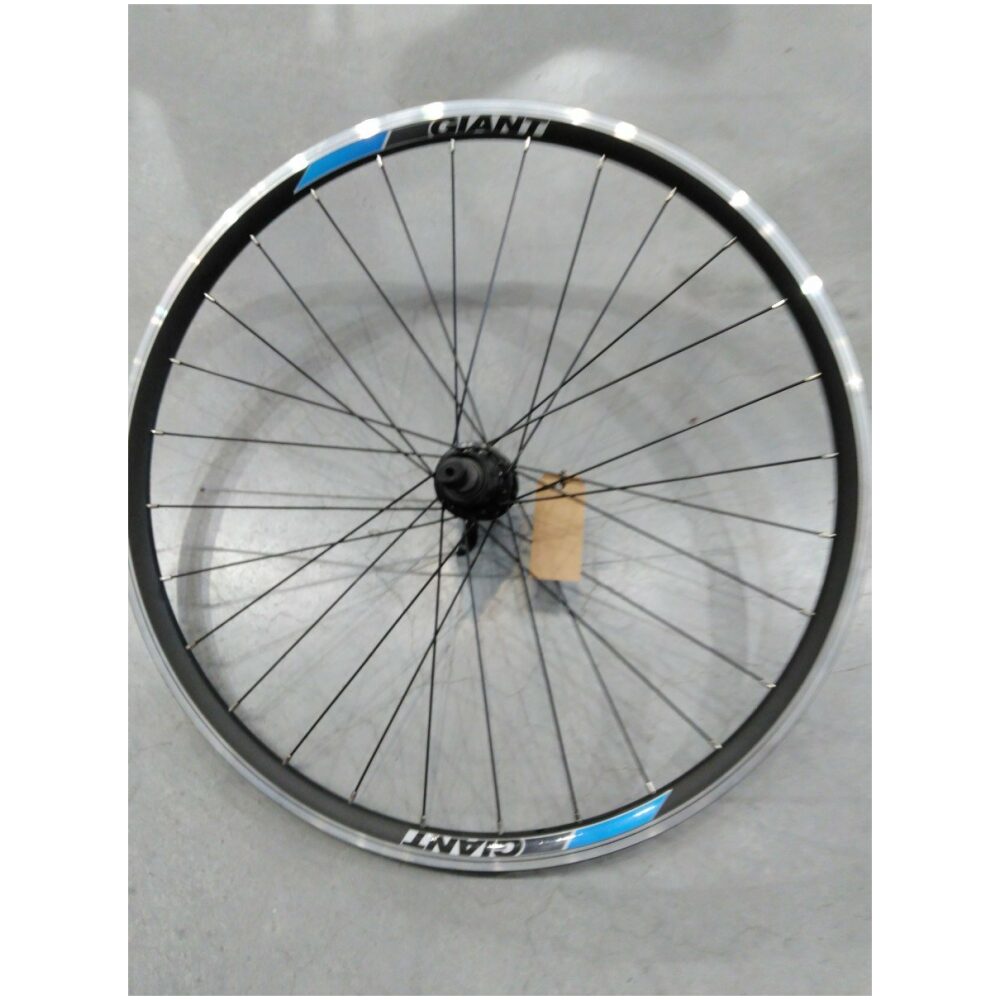 Giant racewiel A 24"
