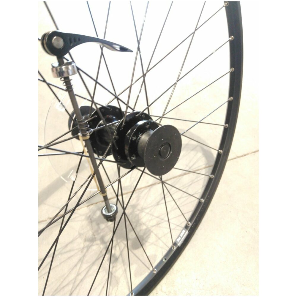 Giant Achterwiel 9V blk disc bolt - Afbeelding 3