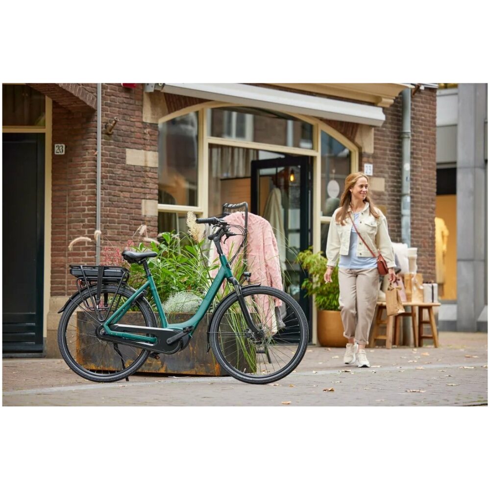 Gazelle Paris C7+ Thyme Green Mat Dames - Afbeelding 5