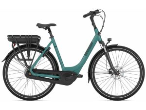 Gazelle Paris C7+ Thyme Green Mat DAMES