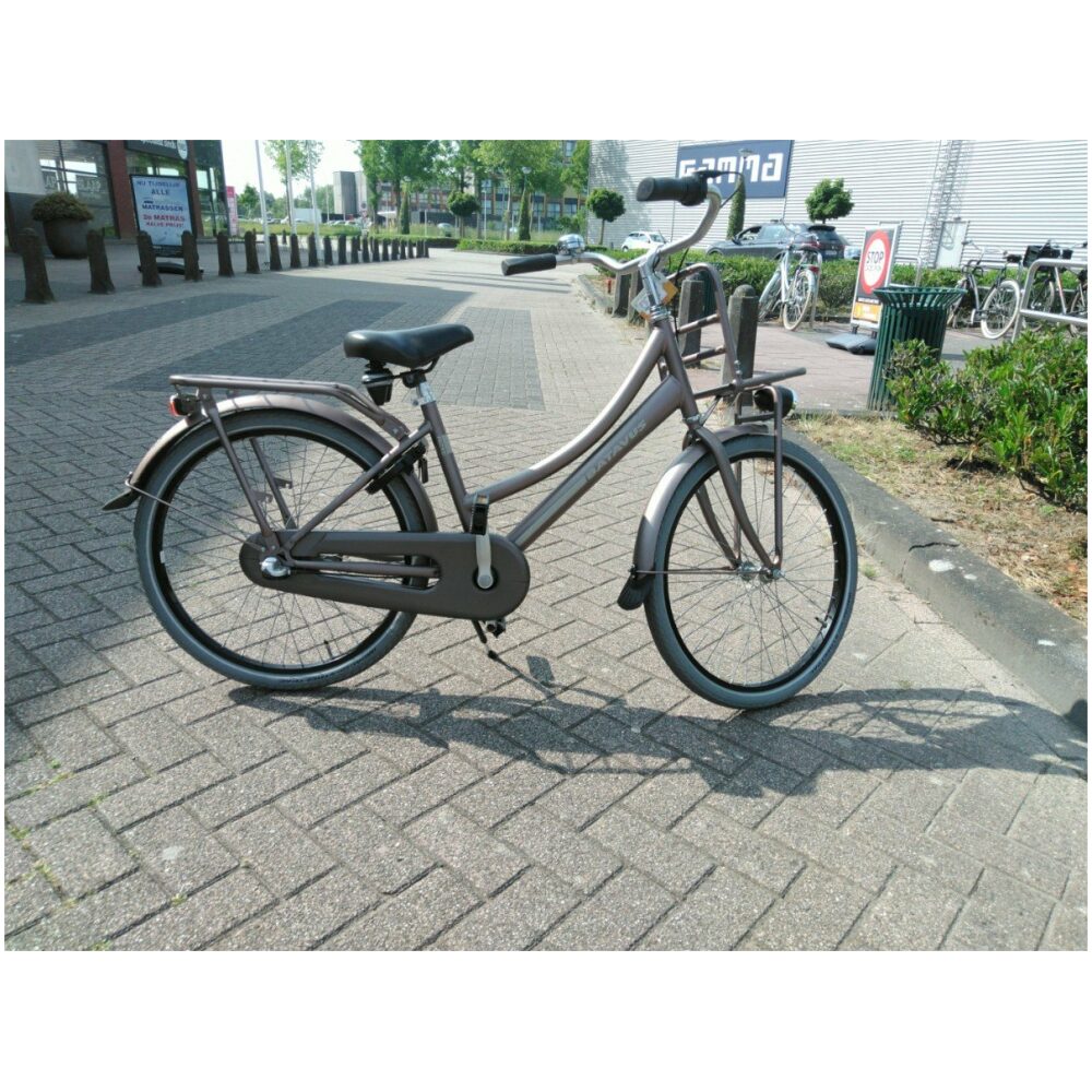 Batavus Packd 24 Metallic Pink Meisjes