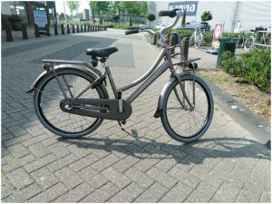 Batavus Packd 24 Metallic Pink Meisjes