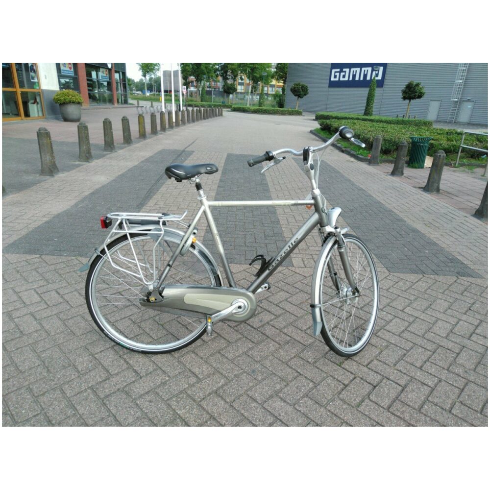Gazelle davos Grijs Heren