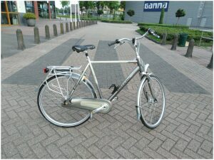 Gazelle davos Grijs Heren