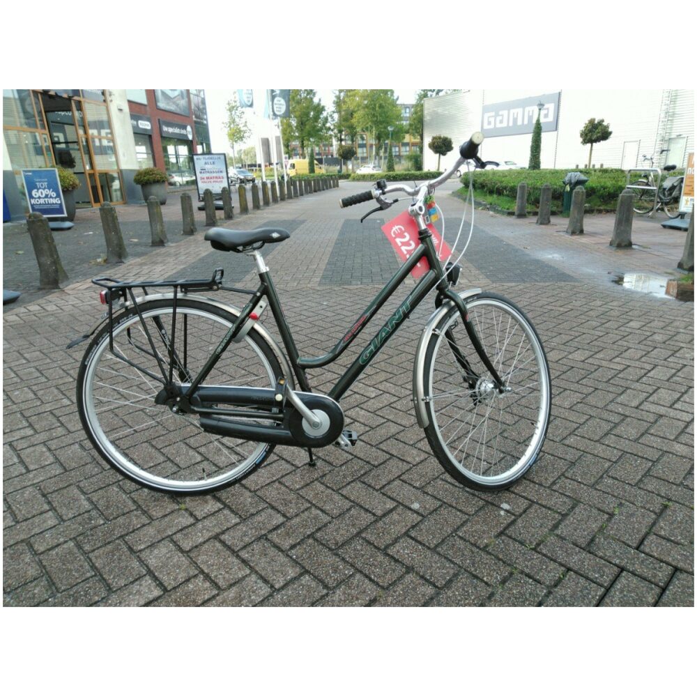 Giant Century Groen Dames