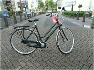 Giant Century Groen Dames