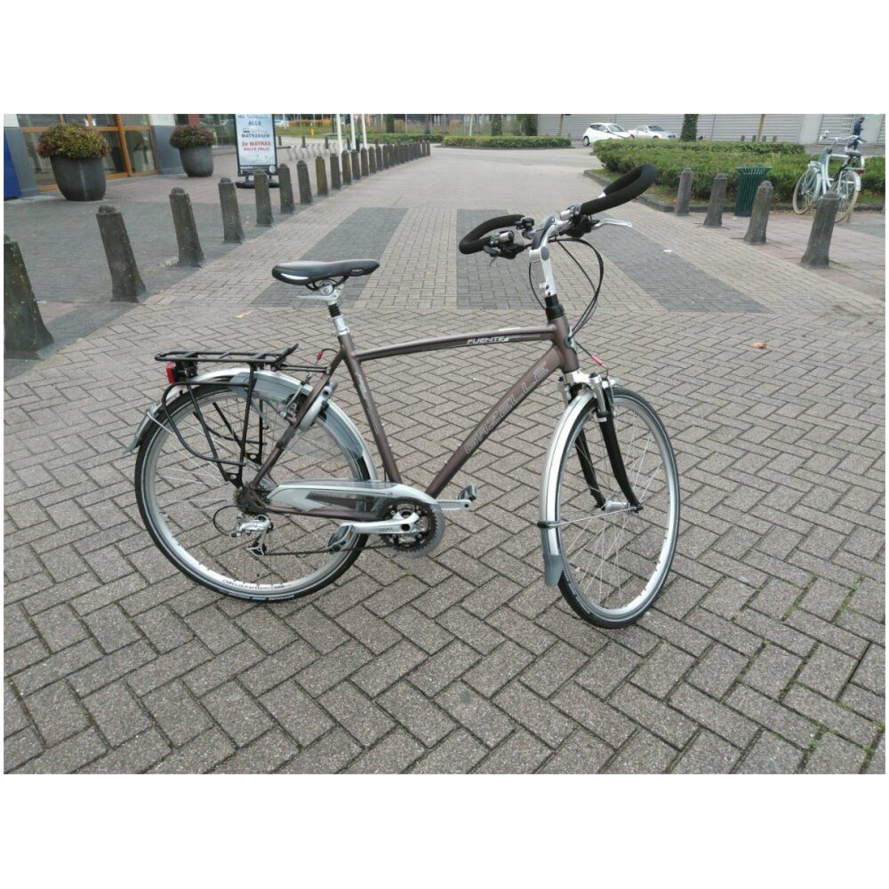 Gazelle Chamonix T27 Bruin Heren