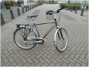 Gazelle Chamonix T27 Bruin Heren