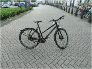 Bulls Urban Zwart Mixed