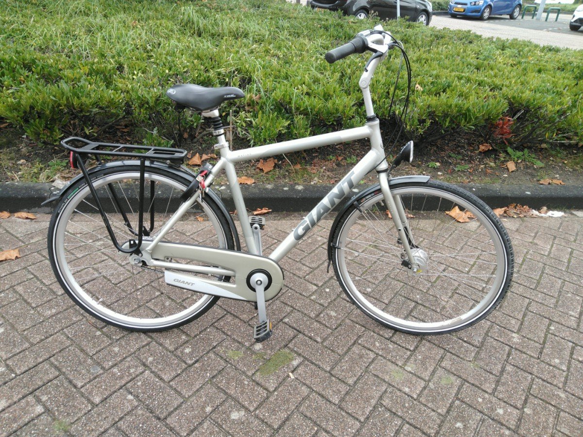 Giant Motion Zilver/wit Heren