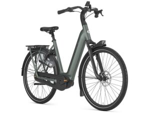 Gazelle Grenoble C8+ Twilight Green Mat