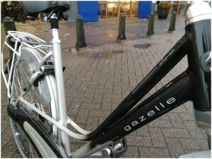 Gazelle Laguna Zilver