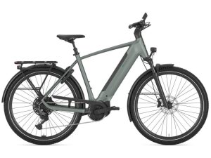 Gazelle Ultimate T11, Twilight Green, heren