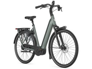 Gazelle Grenoble C5+ First Edition Twilight Green Mat